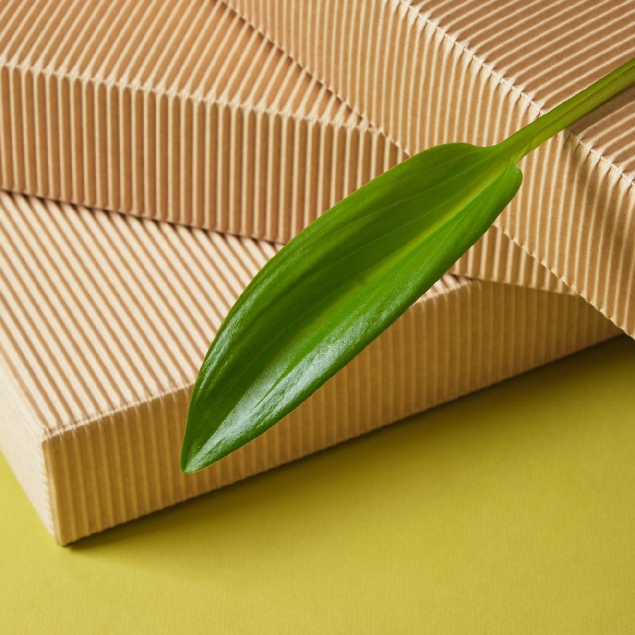 Exportgeeignete Holzverpackungen